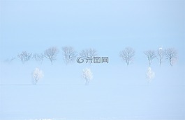 冬天,瑞典,雪