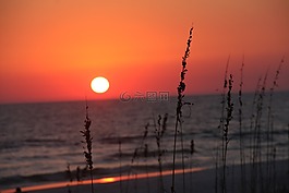 日落,海灘,天空