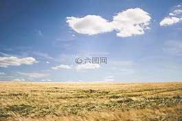 農(nóng)村,農(nóng)場(chǎng),原野
