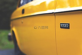 模糊,車,顏色