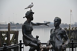 海鷗,湖,水