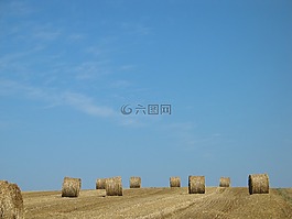 稻草,作用,收成