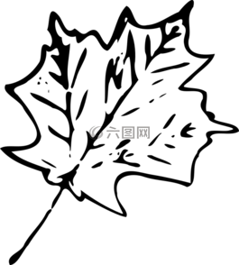 楓,秋天,葉