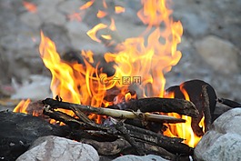 火,伍茲,露營