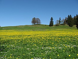 草地,性質(zhì),景觀