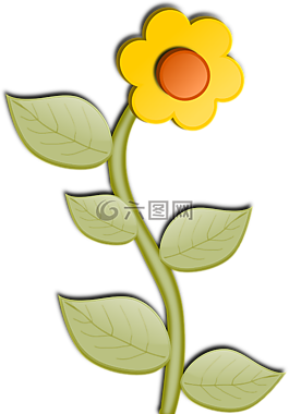 向日葵,花,盛開(kāi)