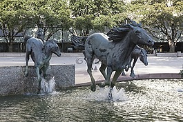 mustangs,雕塑,喷泉