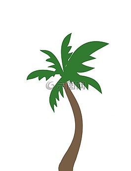棕櫚,椰子樹,椰子