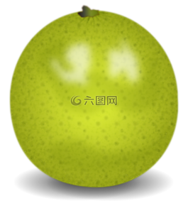 柑橘,石灰,水果
