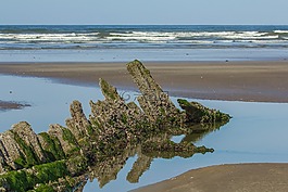 海洋,失事,海灘