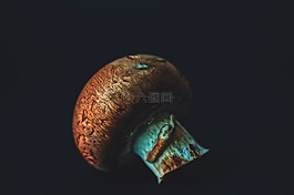 特寫視圖,食品,蘑菇