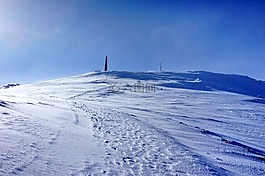 冬季,雪,冷淡地
