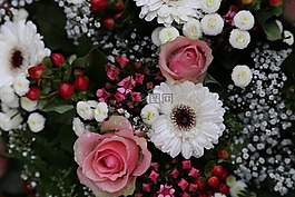 花束,鲜花,floristry