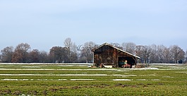草地,牧場(chǎng),冬天