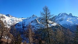 阿爾卑斯山,山,視圖