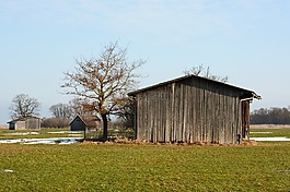 草地,牧場,規(guī)模
