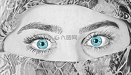 眼睛,藍色的眼睛,導風槽