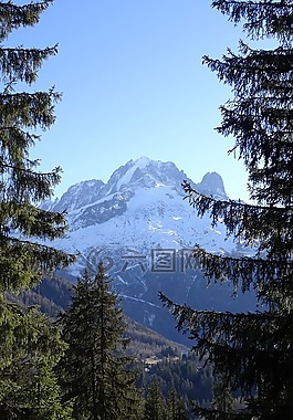 視圖,山,森林