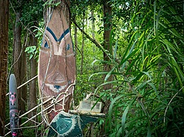 森林,自然,戶外