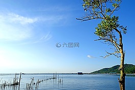 亞洲,藍(lán),藍(lán)色的海
