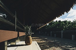 夏時制,水果,戶外