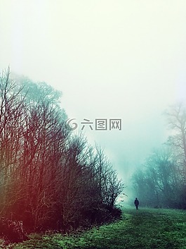 光,釀酒,那些
