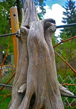 樹圖,自然藝術(shù),森林