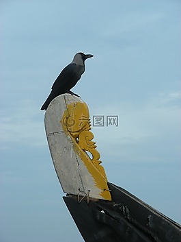 澤福格爾,漁船,印度