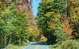 農(nóng)村公路,新英格蘭,佛蒙特州