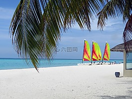 島,夏天,海灘