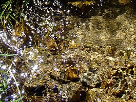 水,流,性質(zhì)