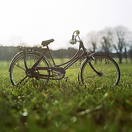 自行車,原野,草