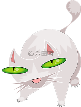 貓,寵物,動(dòng)物