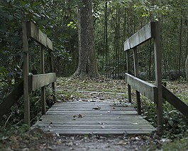 橋,伍茲,黑暗