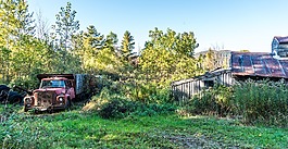 糖小屋,古董车,农村