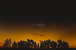 日落,懷孕的女人,黃昏