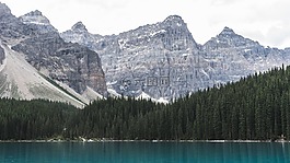 森林,湖,景觀