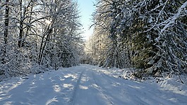 冬天,霜,雪