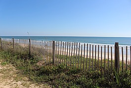 籬笆,海灘,海洋