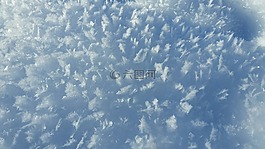 霜,冬天,白霜