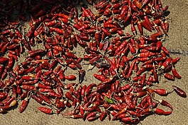 紅色,辣椒,香料