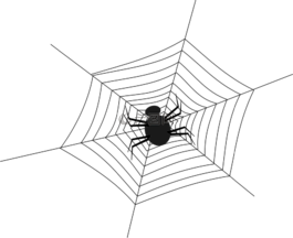 蛛網(wǎng),蜘蛛,蜘蛛俠