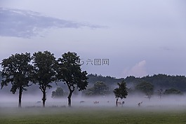 景觀,性質(zhì),天空