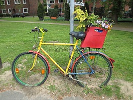 自行車(chē),鮮花,花壇