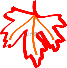 楓,秋,秋天