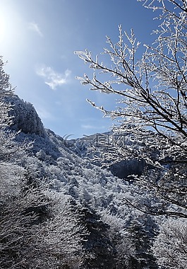 冬季,雪山,濟(jì)州島