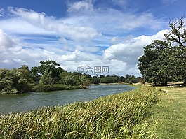 河,樹,天空