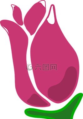 玫瑰,開花,盛開