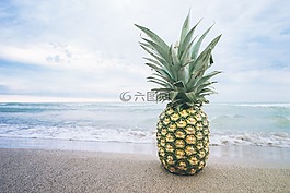 海灘,水果,湖