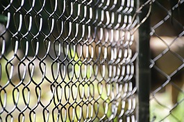 籠,動(dòng)物園